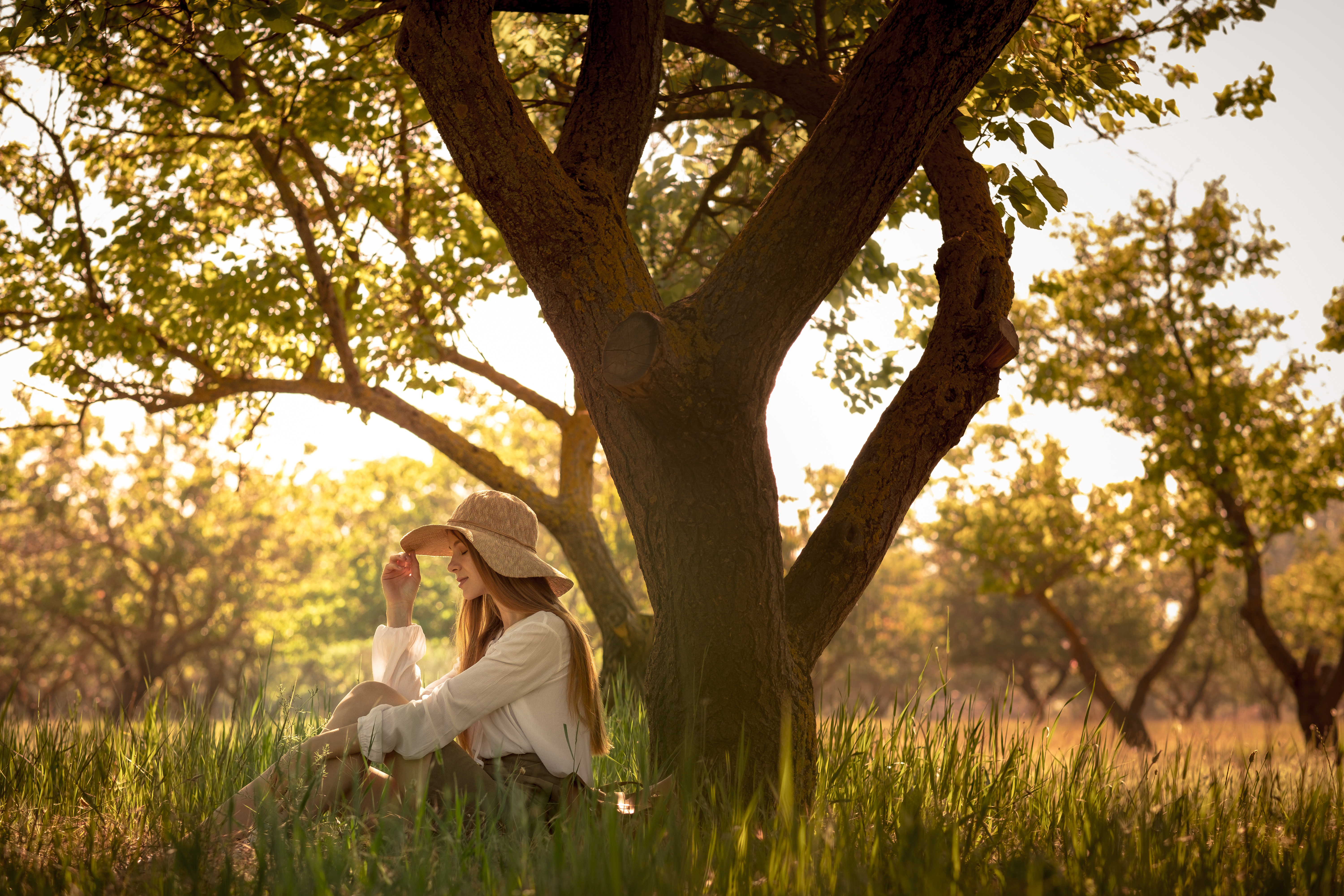 Substance Abuse Counseling